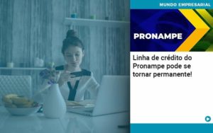 Linha De Credito Do Pronampe Pode Se Tornar Permanente - Contabilidade em São Paulo - SP | Contabilidade Real